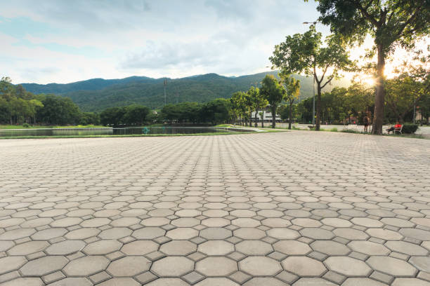 Best Best Driveway Pavers  in La Nte, MO
