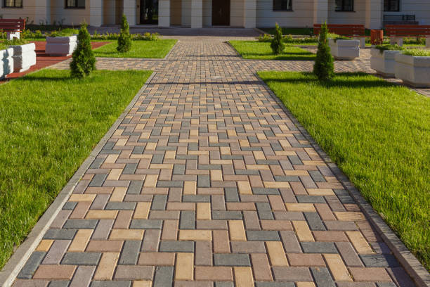 Best Driveway Paver Repair  in La Nte, MO